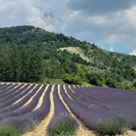 L'escapade, Mas En Pierre D'exception En Provence 펜션 *